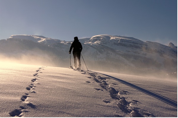 Skier in the backcountry ascending a snowy mountain with a touring set up.