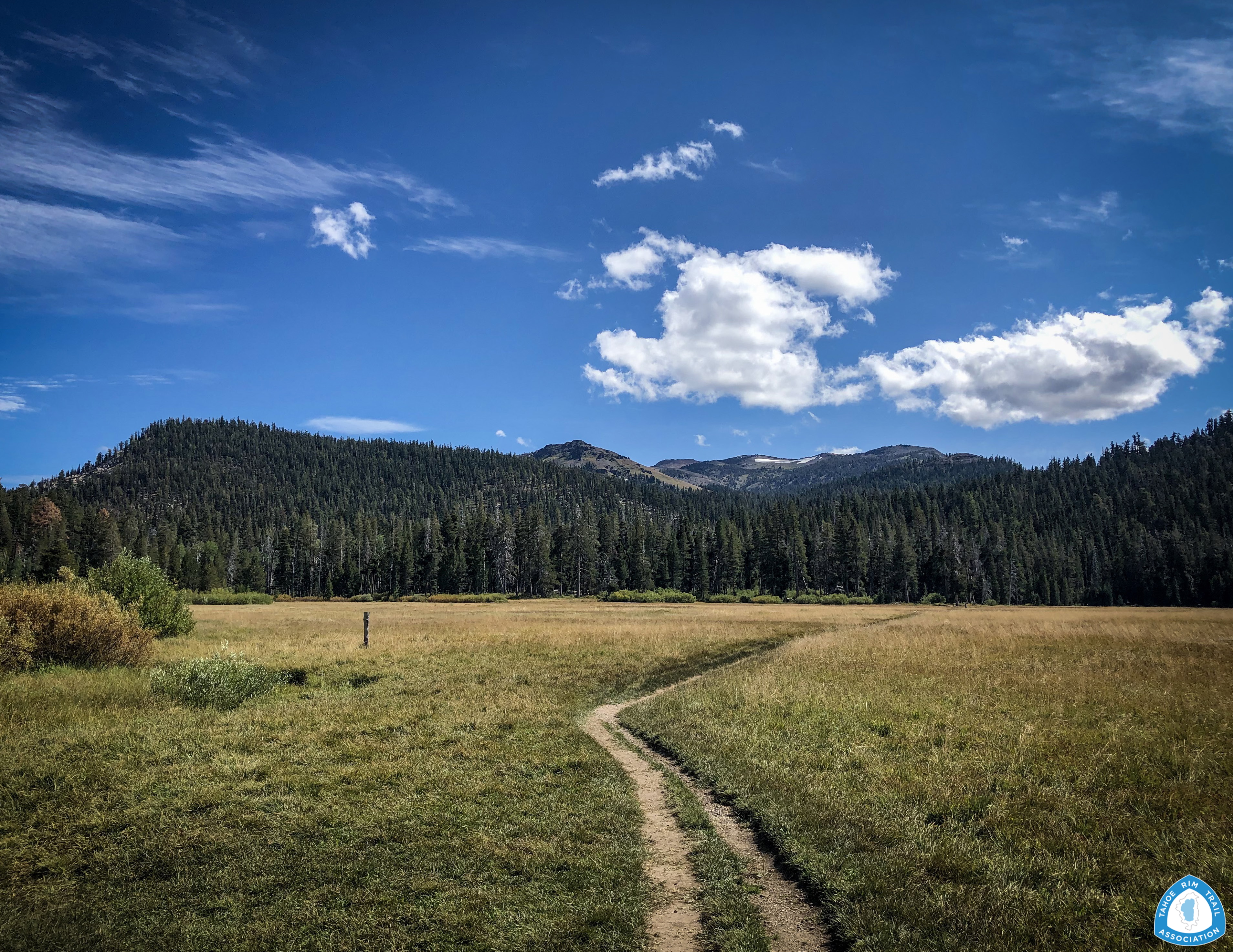 Scenic mountain views from the Tahoe Rim Trail on a sunny day