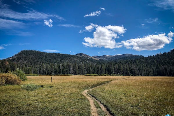 Scenic mountain views from the Tahoe Rim Trail on a sunny day