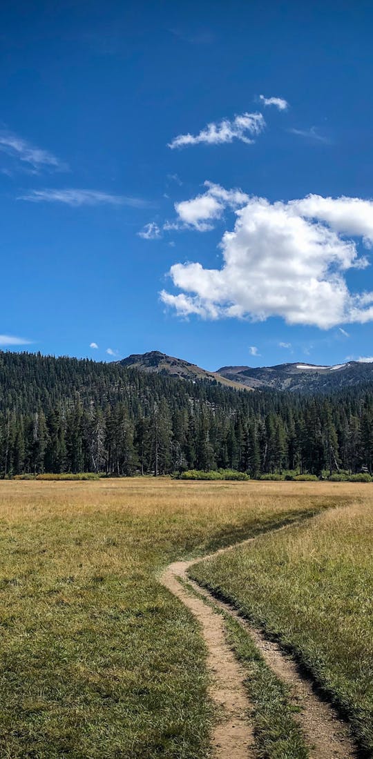 Scenic mountain views from the Tahoe Rim Trail on a sunny day