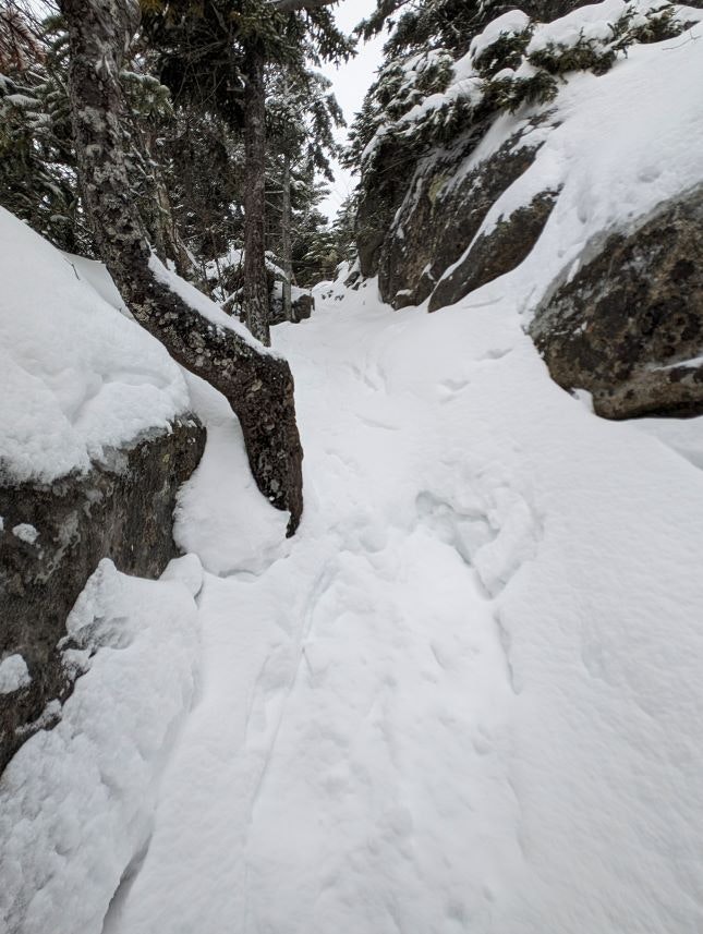 A snow covered trail spotted on a hike with Mel Elam.