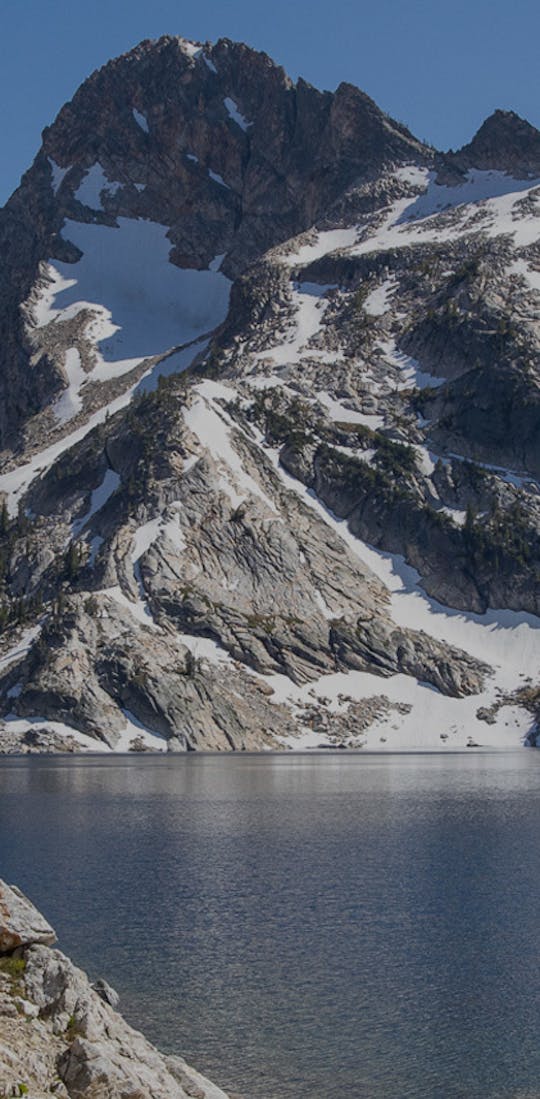 Kristen Bor of Bearfoot Theory