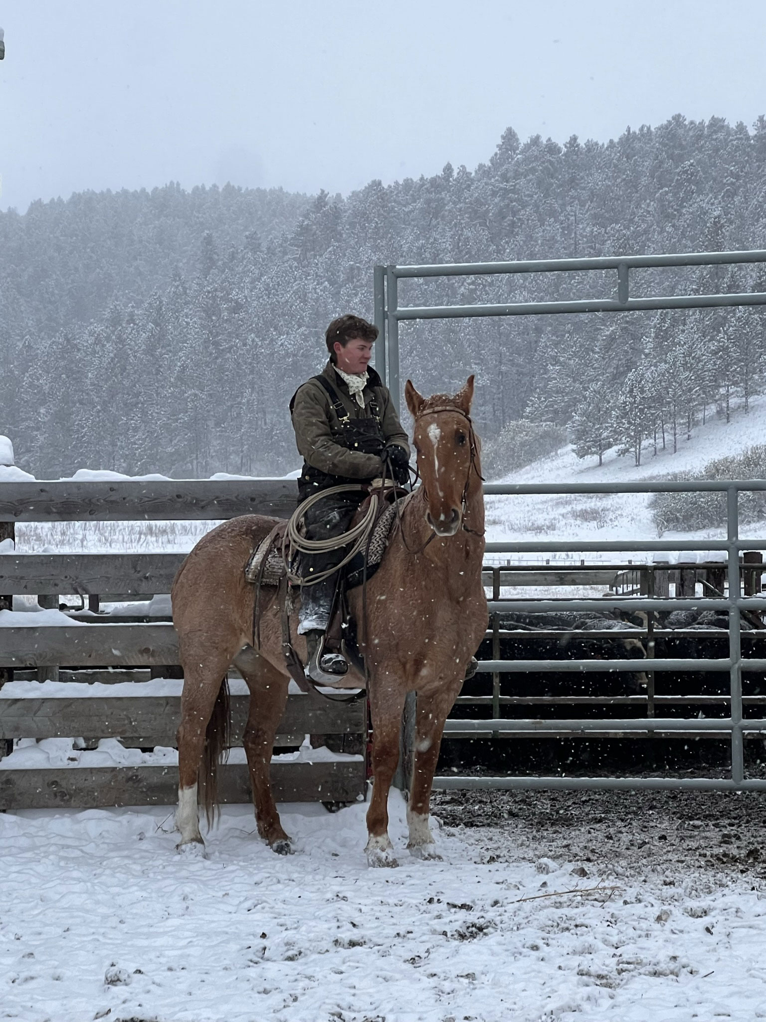 Trailblazer David Gabrielli rides a horse at work on a ranch in Kirby, Montana