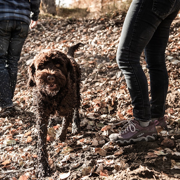 Two hikers in the Oboz Firebrand II Low out for a walk with a happy dog.