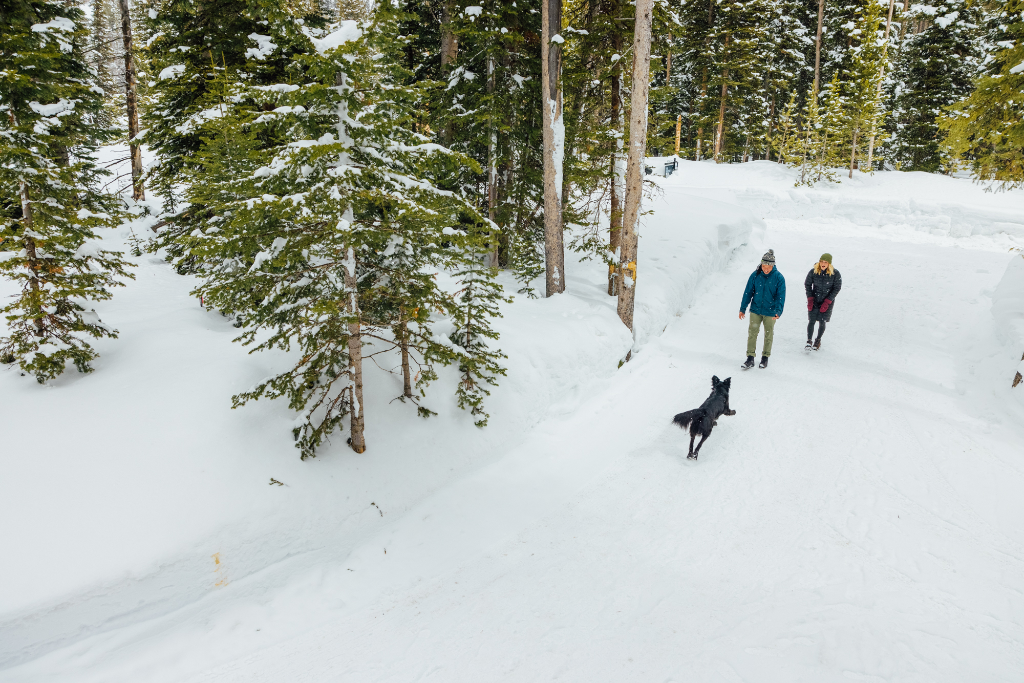 Two hikers in Oboz winter insulated boots playing with a dog on a snowy trail.