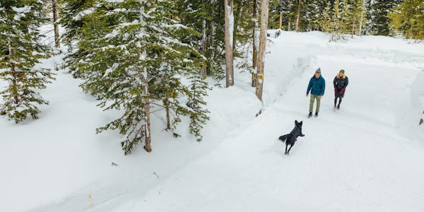 Two hikers in Oboz winter insulated boots playing with a dog on a snowy trail.